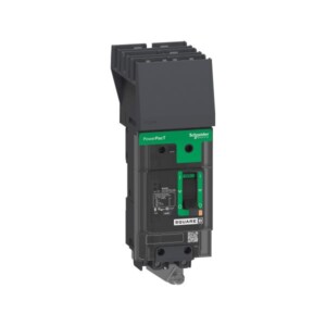 Interruptor POWERPACT BD,2P50A,AC,I-LINE BDA260502 ENCHUFABLE para I-Line