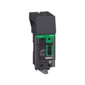 Interruptor PowerPact -  - 100A 2P 600Y/347V AC 14kA at 600Y/347  UL - I-Line BDA261001 ENCHUFABLE para I-Line