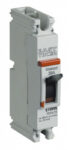 INTERRUPTOR TERMOMAG.  E100H  1 POLO 100A EASYTIKER           T6031/100