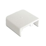 Accesorio Tapa Final, 20x20 mm, Blanco, DXN11055HD Schneider Electric  DXN11055HD