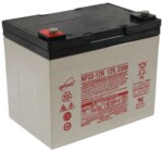 Batería sellada 12V 33AH Ácido Plomo NP33-12 Borne al poste Terminal M6  NP33-12B