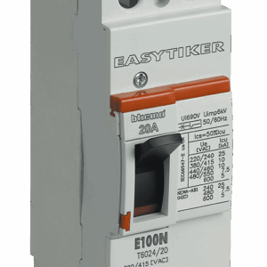Interruptor termomagnético E100H, 2 polos, 15 A.   T6032/15
