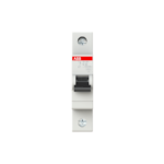 INTERRUPTOR RIEL DIN 25A 1P   440VCA 6KA MARCA ABB            2CDS211001R0254